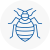 Bed Bug Extermination In Sydenham