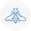 Bee Nest Removal Sydenham