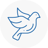 Bird Prevention Sydenham