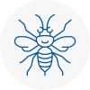 Sydenham Hornet Nest Removals