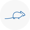 Mice Exterminators In Sydenham