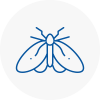 Moth Control Specialists In Sydenham