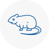 Rat Control Sydenham