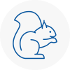Sydenham Rodent Removals